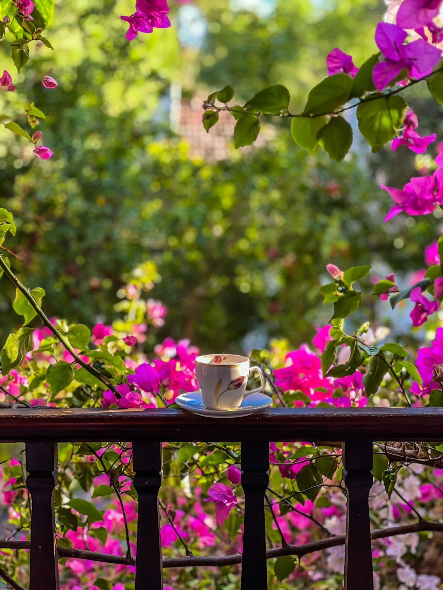 Liya Boutique Hotel & Suites アクヤカ エクステリア 写真