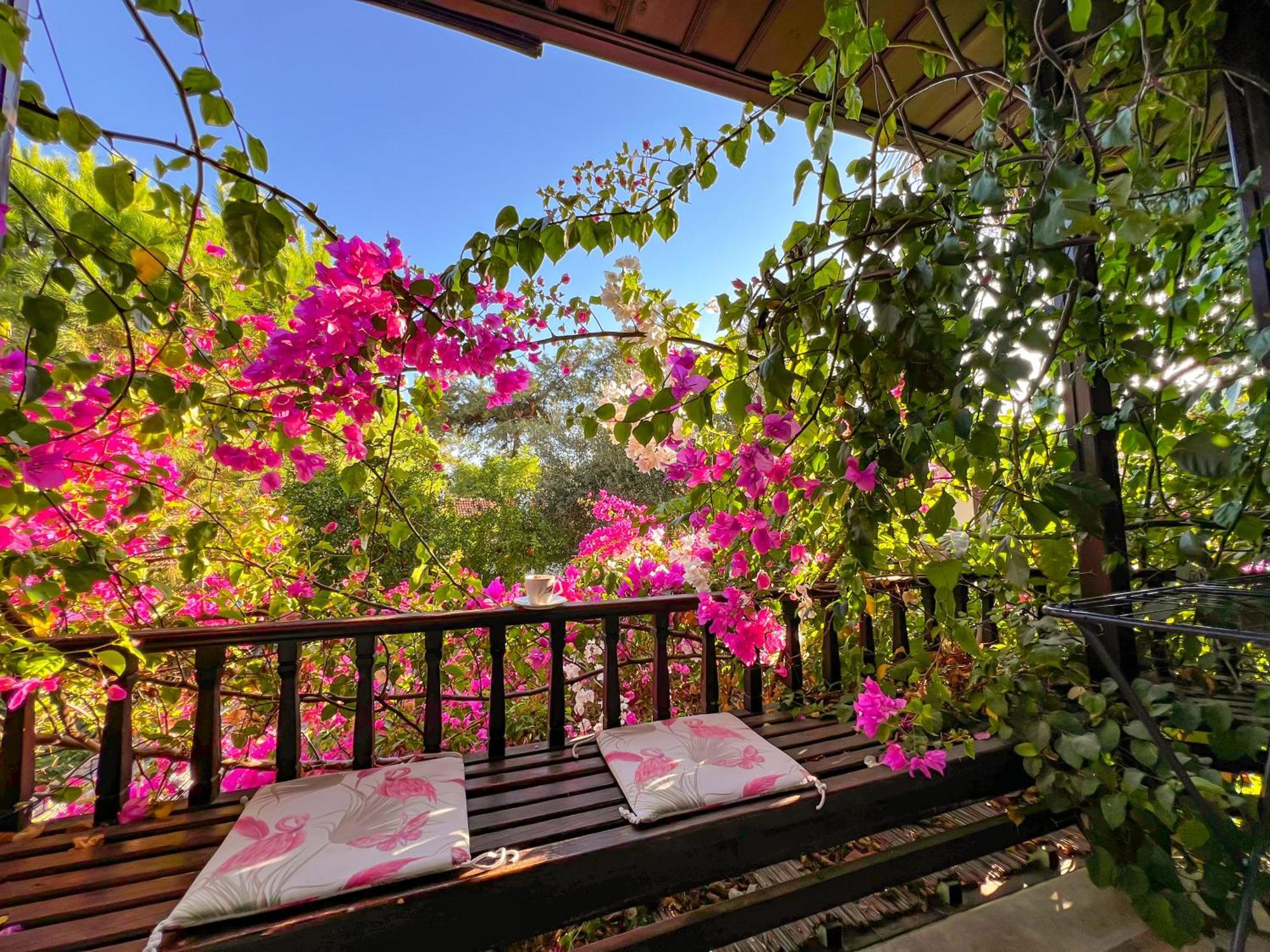Liya Boutique Hotel & Suites アクヤカ エクステリア 写真